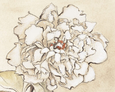 Image Not Available